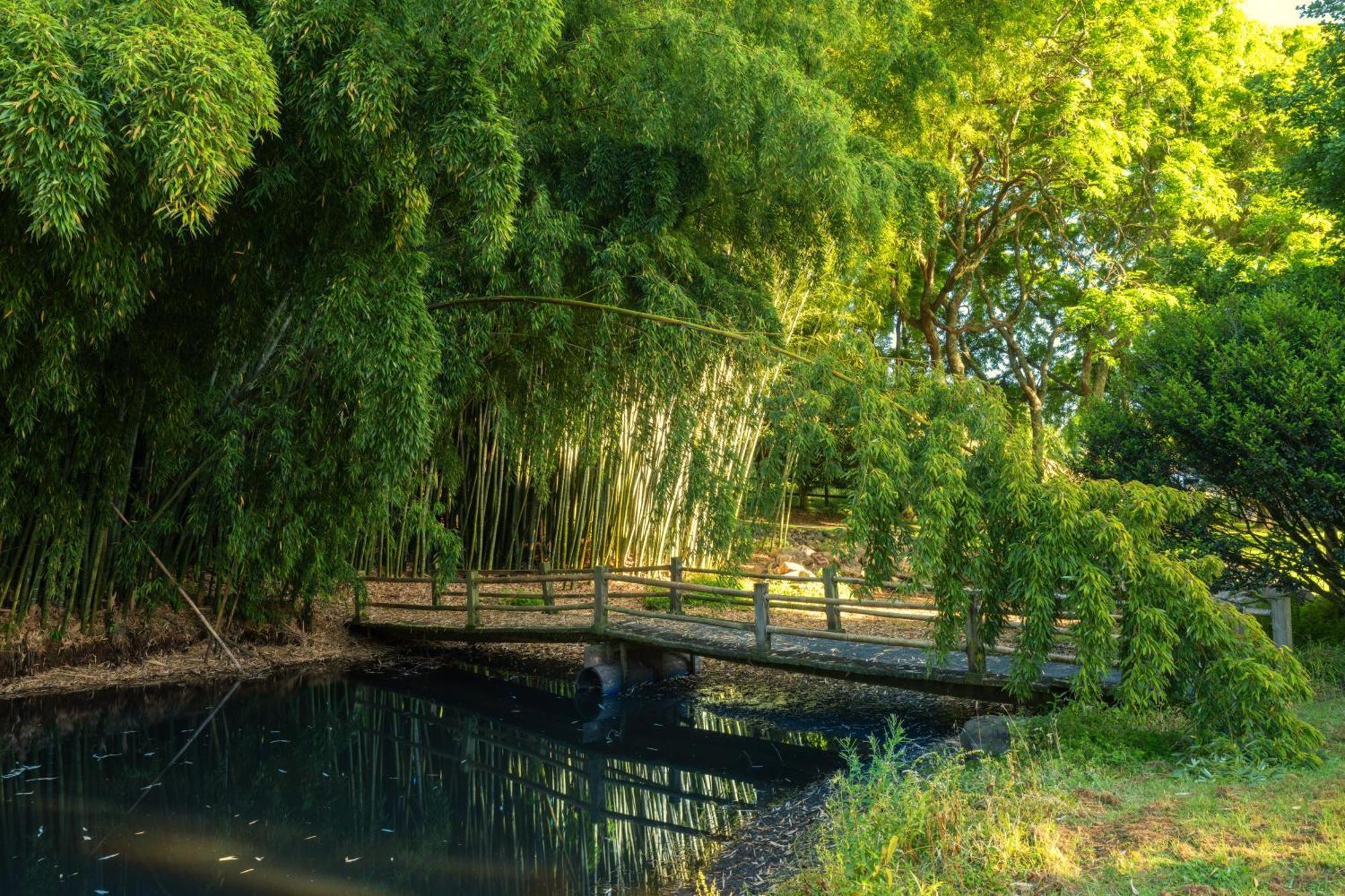 Hana Lodge Rotorua Bagian luar foto