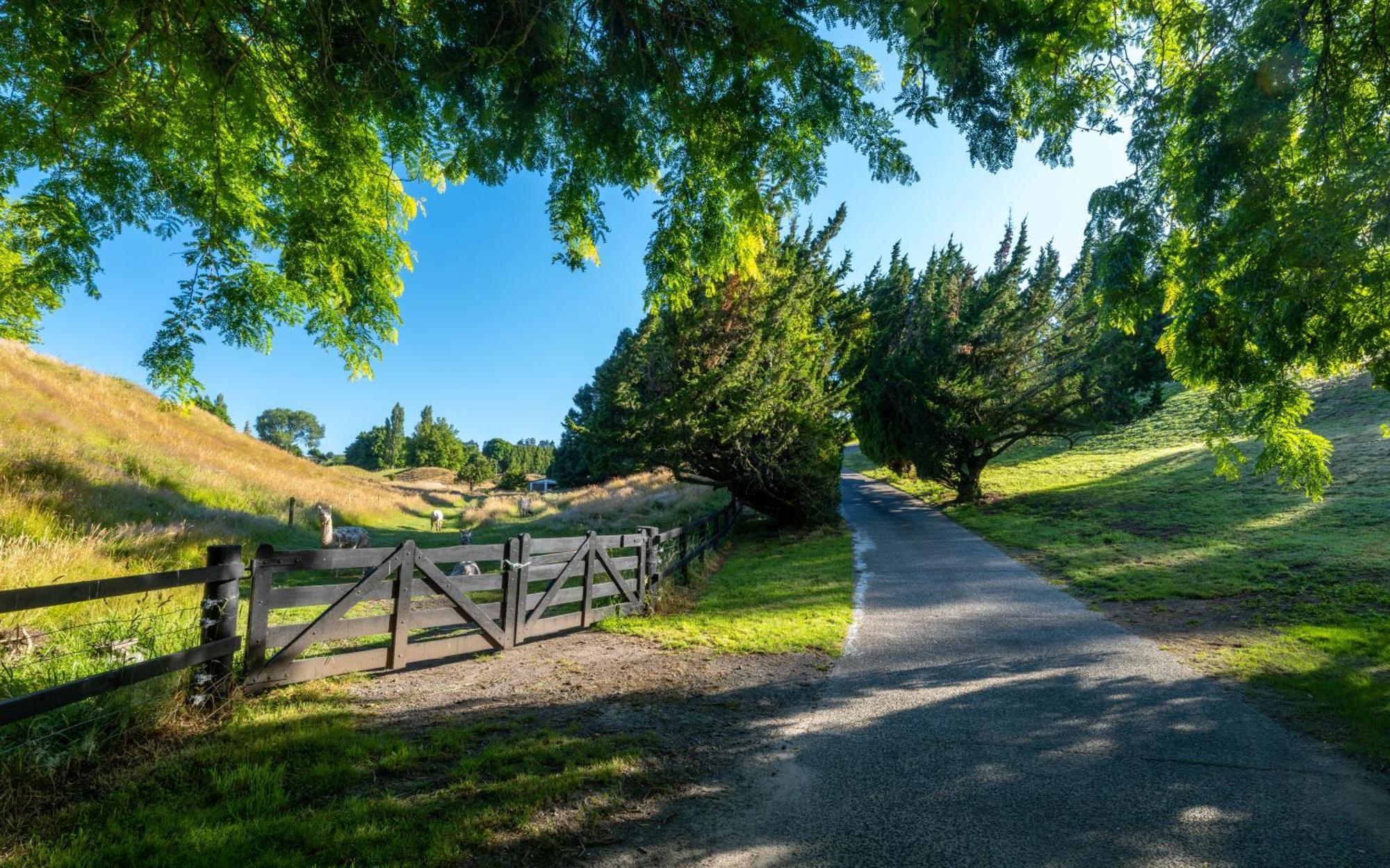 Hana Lodge Rotorua Bagian luar foto